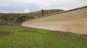 CEA tampoco conoce proyecto para San José CEA tampoco conoce proyecto para San José