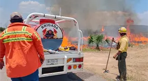 Voraz incendio arrasa con predio de monte