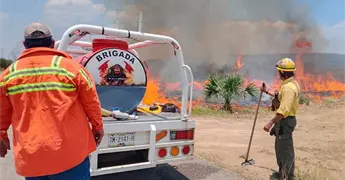 Voraz incendio arrasa con predio de monte