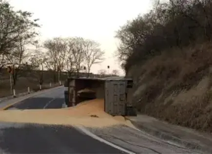 Vuelca cami&oacute;n cargado con ma&iacute;z cerca de La Calera