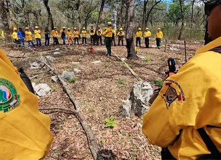 Capacitan personal para combatir los incendios forestales