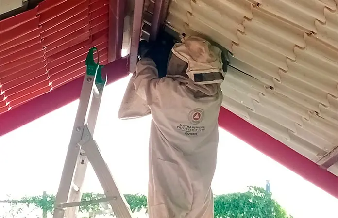 Retiran panal de abejas de escuela