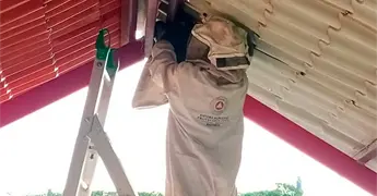 Retiran panal de abejas de escuela