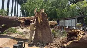 Tormentas en India matan a 96 personas