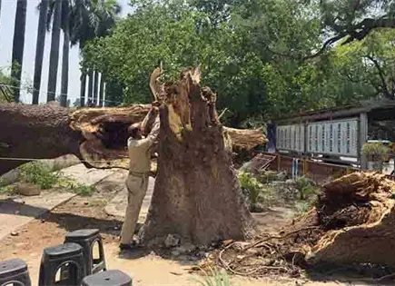 Tormentas en India matan a 96 personas