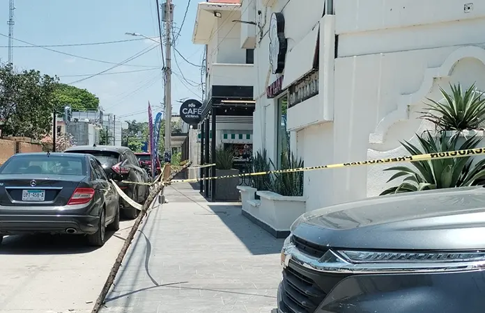 Enjambre de abejas, temor en zona centro