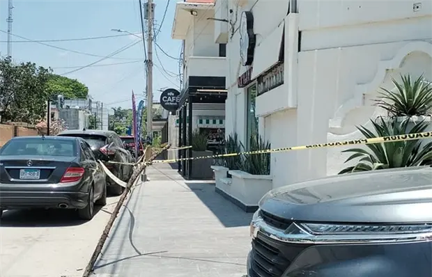Enjambre de abejas, temor en zona centro