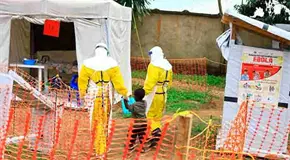 Nuevo brote de &eacute;bola en Congo