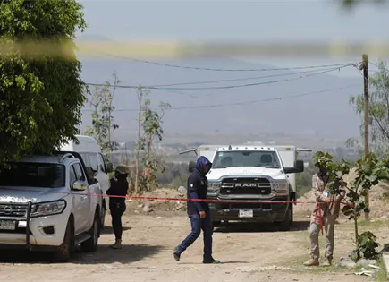 Colectivos de b&uacute;squeda en M&eacute;xico hallan fosa clandestina con 60 bolsas con restos humanos