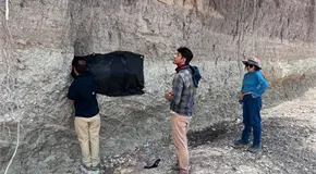 Hallan restos de un mamut en El Sauz