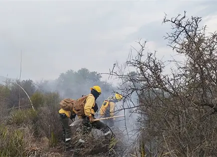 SLP, el séptimo más afectado por incendios forestales SLP, el séptimo más afectado por incendios forestales