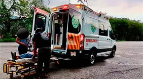 Enjambre de abejas ataca a dos mujeres