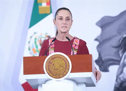 "No estamos cubriendo a nadie": Sheinbaum