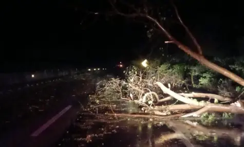 &Aacute;rboles ca&iacute;dos, apagones y encharcamientos deja temporal en la Huasteca