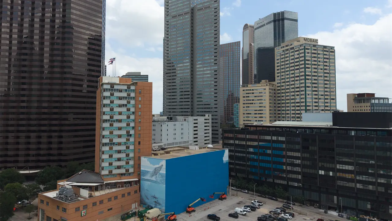 Dallas cubre mural de ballenas por Mundial 2026
