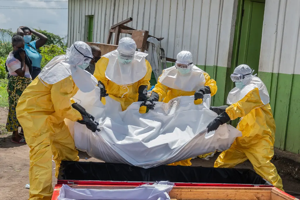 Brote de ébola Bundibugyo afecta al este del Congo