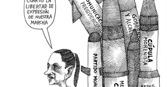 sollozo de caim&aacute;n...