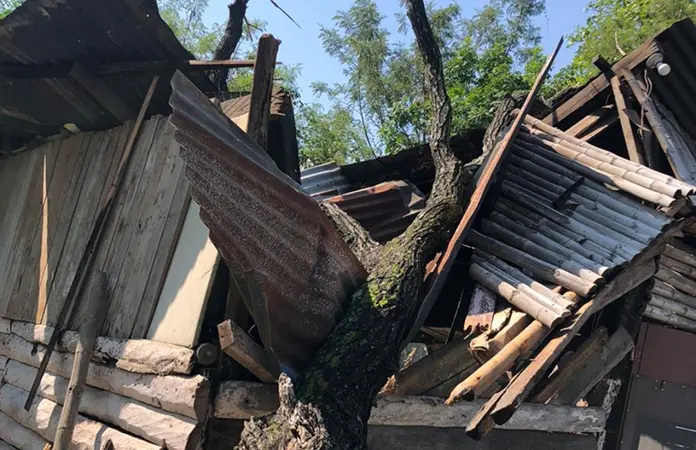 Tormenta deja sin casa a ciudadano