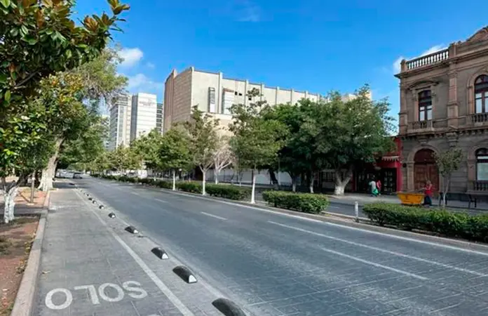 Cuadrillas realizan poda de arbustos en Av. Carranza
