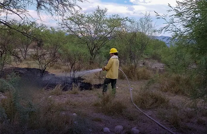 Sofocan bomberos incendio en baldío