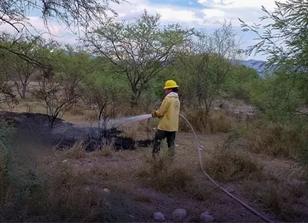 Sofocan bomberos incendio en baldío Sofocan bomberos incendio en baldío
