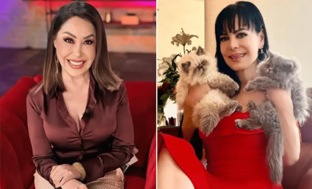 Addis Tuñón responde a Maribel Guardia por tutela de José Julián