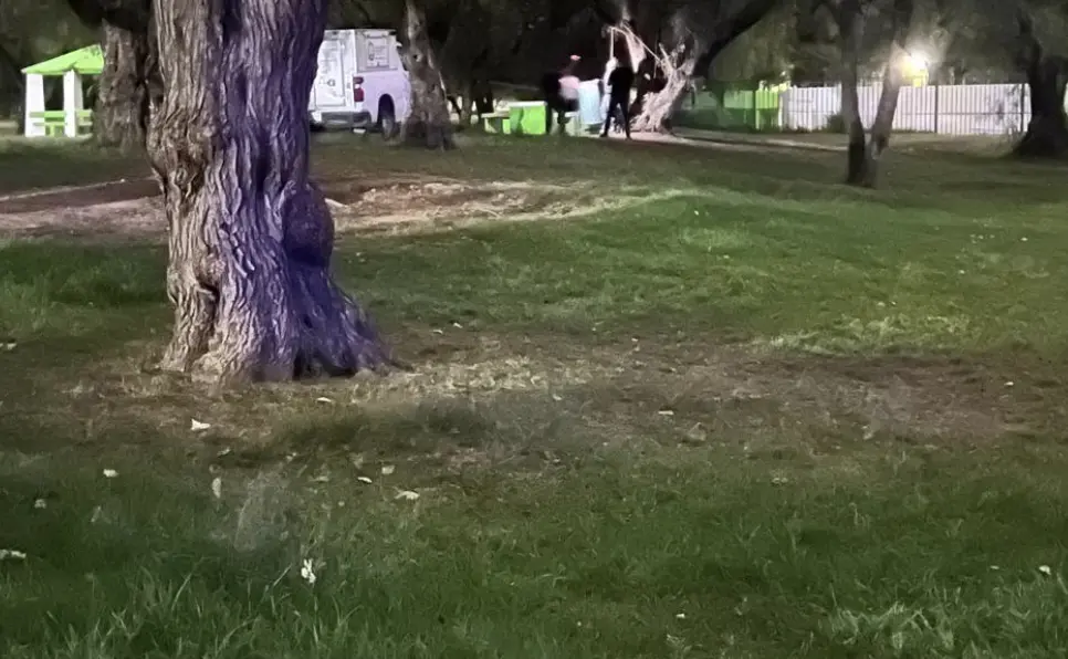 Hallan a hombre suspendido de un árbol en el Tangamanga I