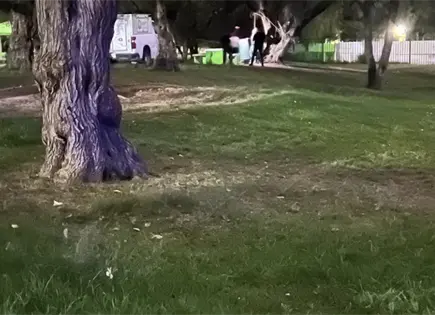 Hallan a hombre suspendido de un árbol en el Tangamanga I Hallan a hombre suspendido de un árbol en el Tangamanga I