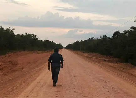 Brasil asfaltará carretera en la Amazonía Brasil asfaltará carretera en la Amazonía