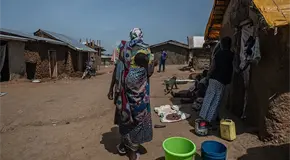 Combaten ébola con arena y avena