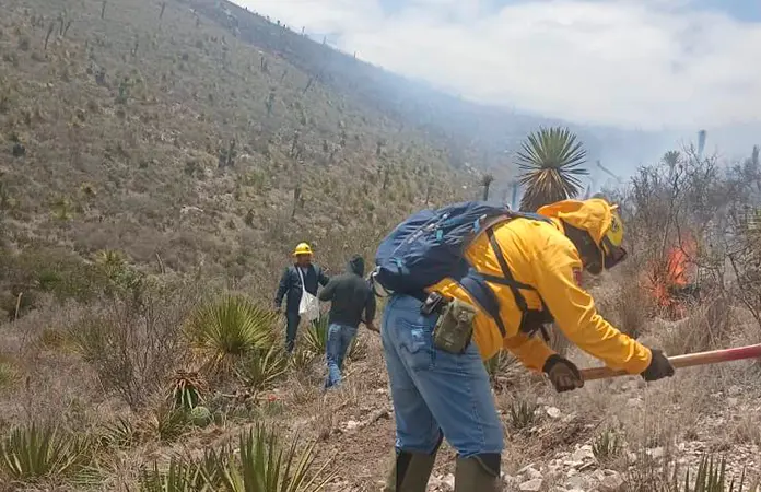 Combaten brigadas siniestro en Charcas