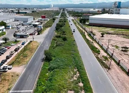 Plantea IP nuevas estrategias log&iacute;sticas y de diversificaci&oacute;n de mercados