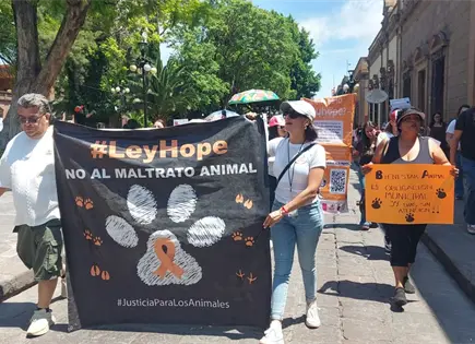 Marchan por justicia para perros asesinados en Soledad