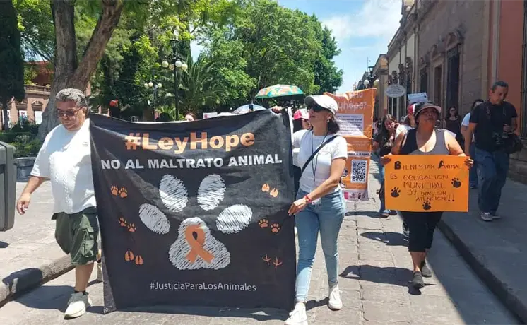 Marchan por justicia para perros asesinados en Soledad