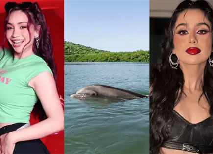 Influencers y comunidades exigen frenar planta de amoniaco en Topolobampo