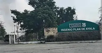 Logra IPA un mill&oacute;n de toneladas molidas