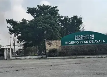Logra IPA un mill&oacute;n de toneladas molidas