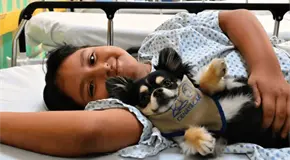 Perros ayudan a ni&ntilde;os a reducir estr&eacute;s hospitalario