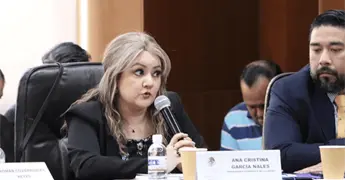 CEGAIP quedar&aacute; con un comisionado y sin relevo en presidencia