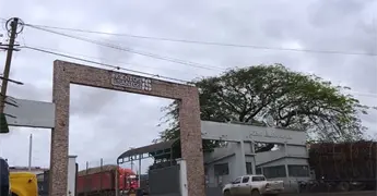 Culmina zafra en el Alianza Popular