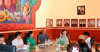 Presentan programa de atenci&oacute;n psiqui&aacute;trica a distancia