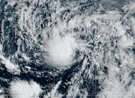 Tormenta tropical Amanda se forma en Pac&iacute;fico: CNH informa