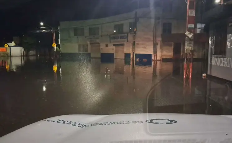 Autos varados y &aacute;rboles ca&iacute;dos, el saldo de lluvias: CEPC