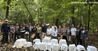 Liberan 16 monos ara&ntilde;a y un aullador en Parque Nacional Palenque