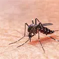Analizan probables muertes por dengue