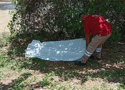 Encuentran a mujer ahogada en paraje de río en Tamasopo