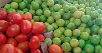 Se dispara costo de kilogramo de papa