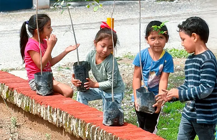 Impulsan jornada de reforestación
