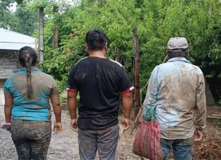 Realizan desalojo en predio de Tampamolón; denuncian abusos Realizan desalojo en predio de Tampamolón; denuncian abusos