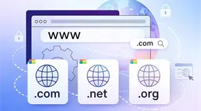 &iquest;C&oacute;mo elegir un proveedor de dominios web para tu negocio?